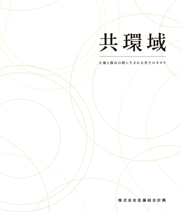 共環域